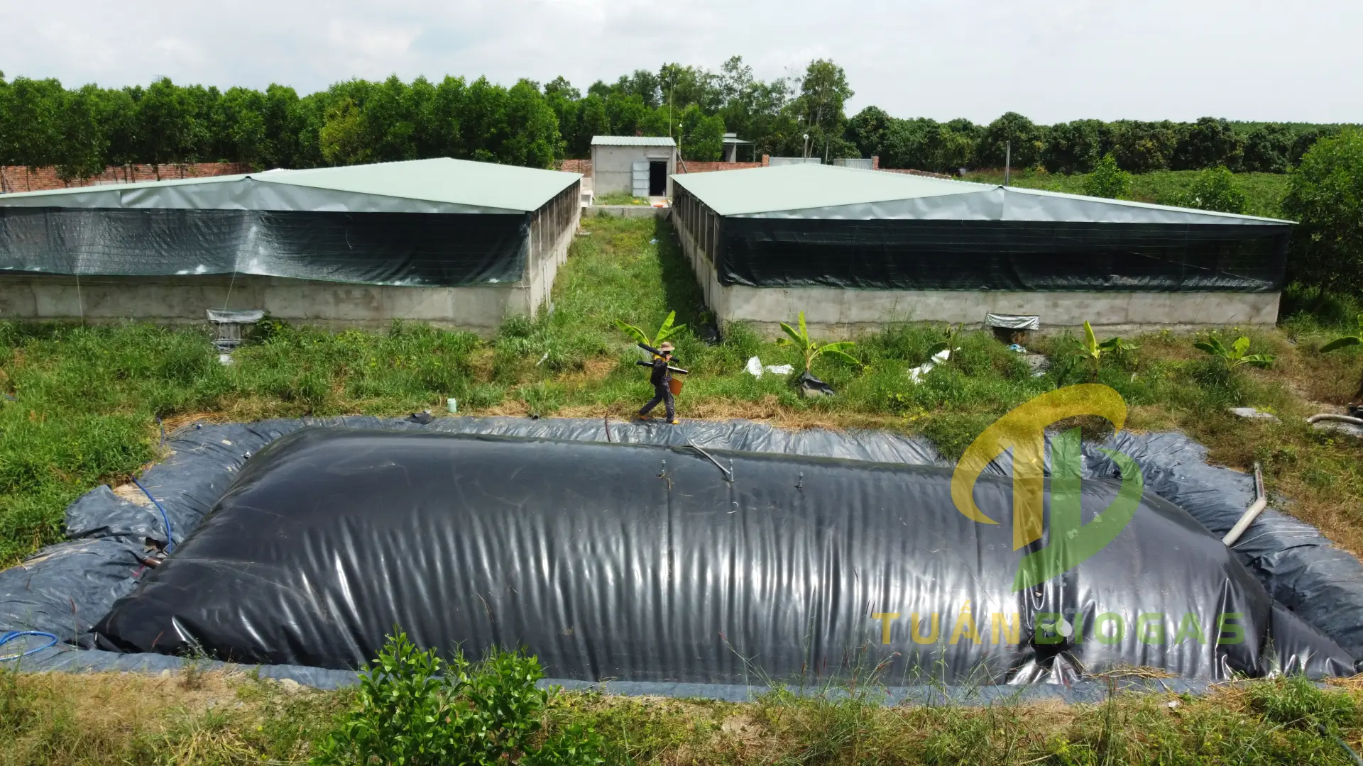 [SO SÁNH] Giá Túi Biogas Vuông Bạt PVC Và HDPE: Loại Nào Bền Và Tiết Kiệm Chi Phí Nhất Cho Bà Con?